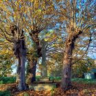 das Wegkreuz im Herbst.