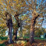 das Wegkreuz im Herbst.