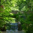 Das Wehr im Wald