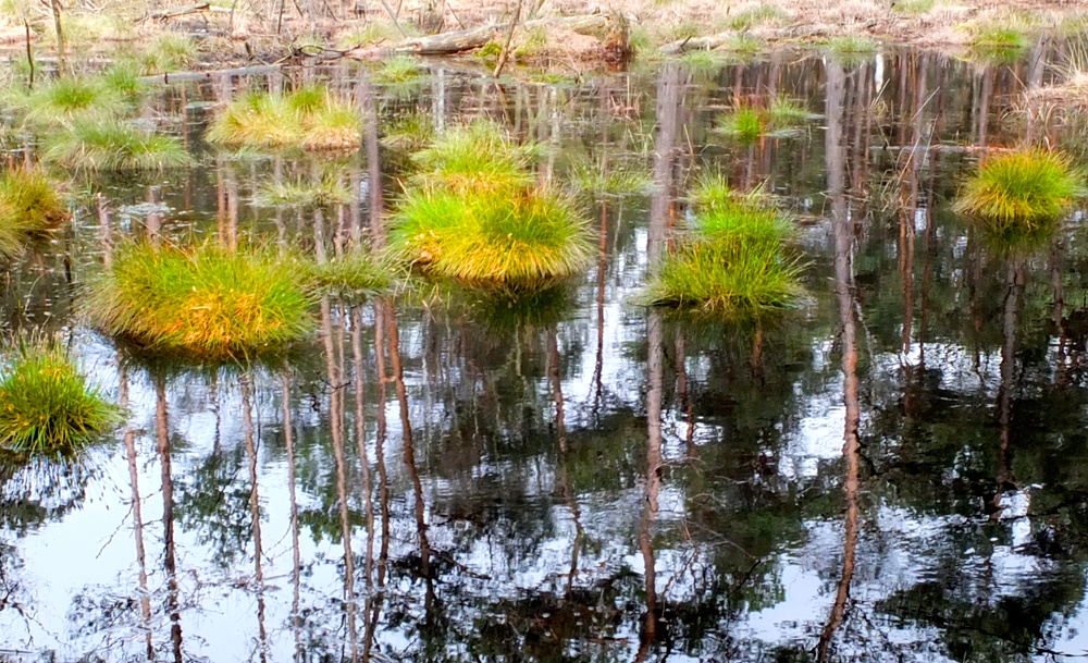 Das weiche Wasser