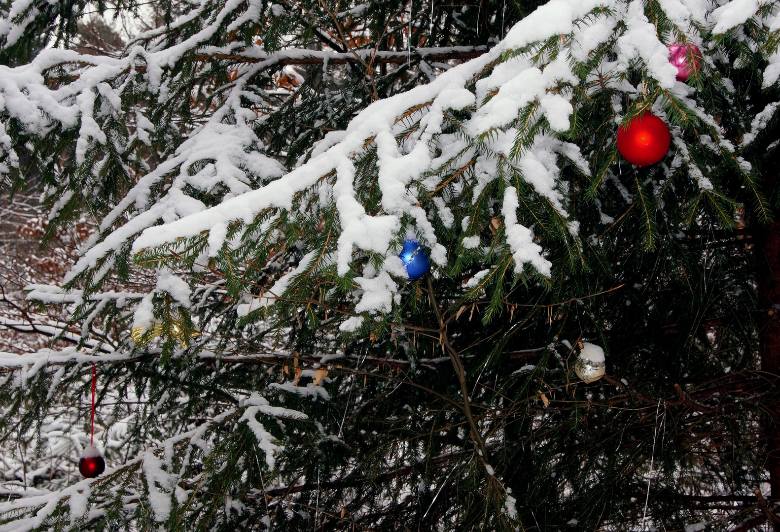 Das Weihnachtfsfest im Schnee...