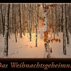 Das Weihnachtsgeheimnis