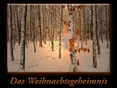 Das Weihnachtsgeheimnis