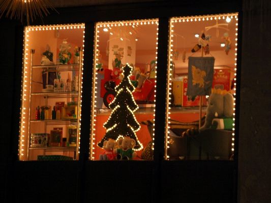 Das Weinachts Fenster