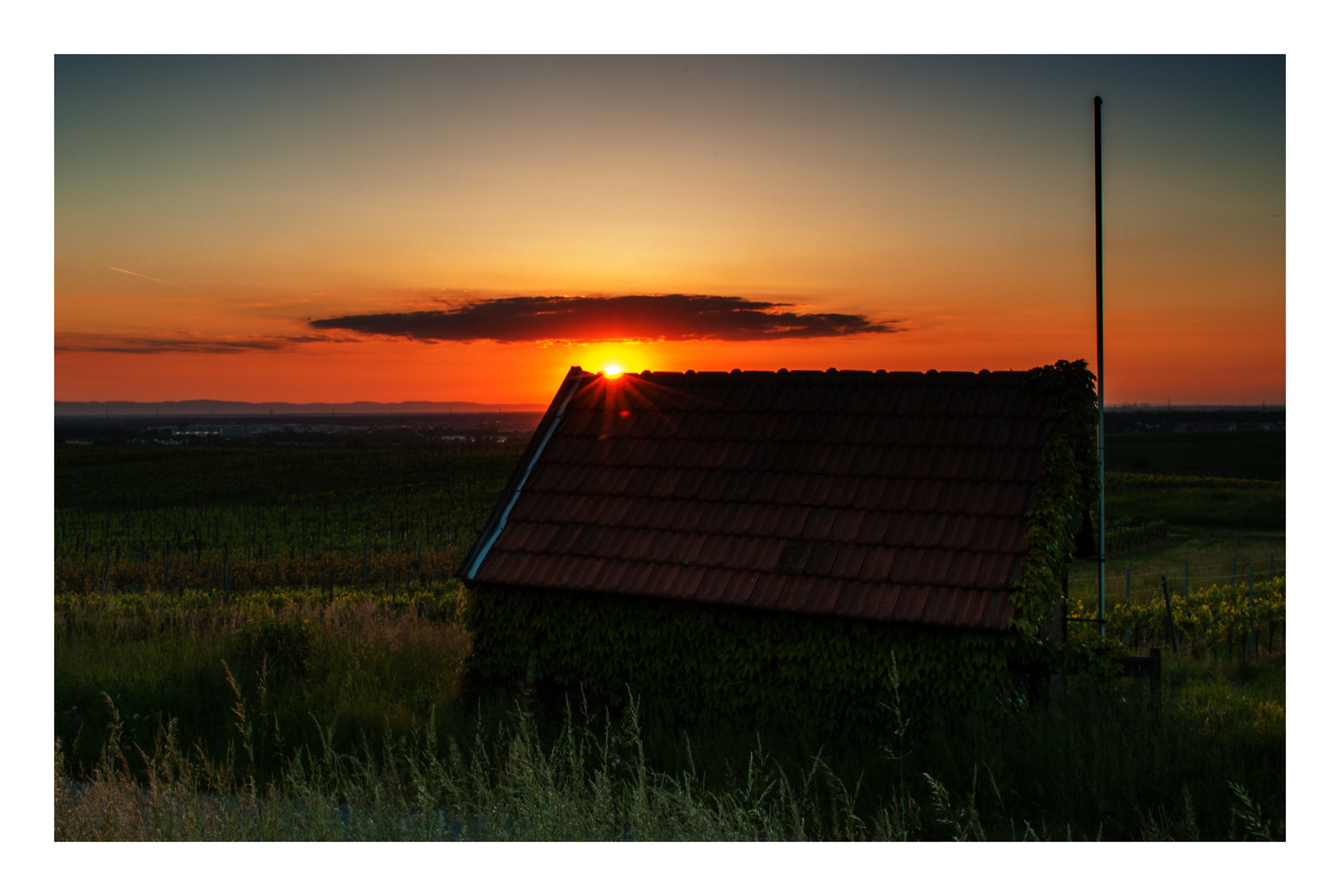 Das Weinberghäuschen