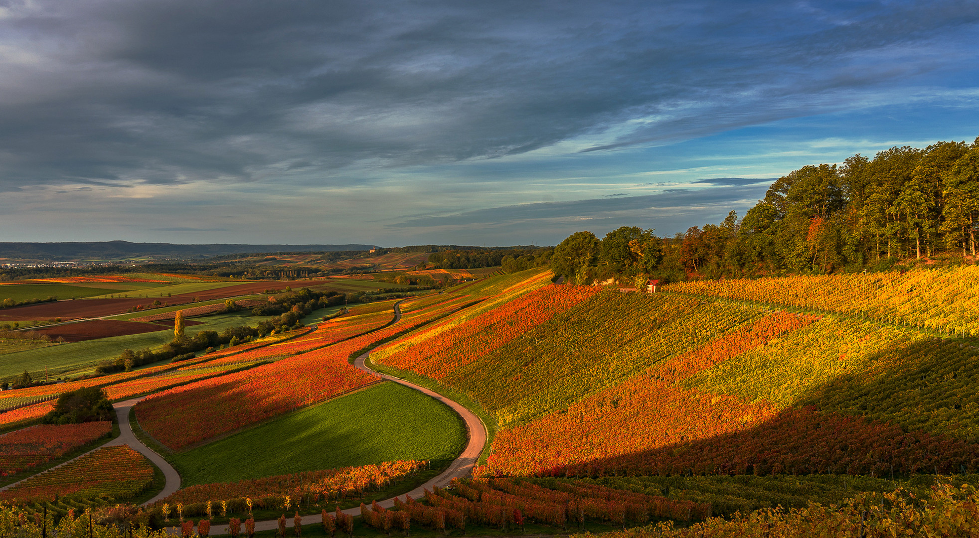 Das Weinbergland