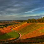 Das Weinbergland