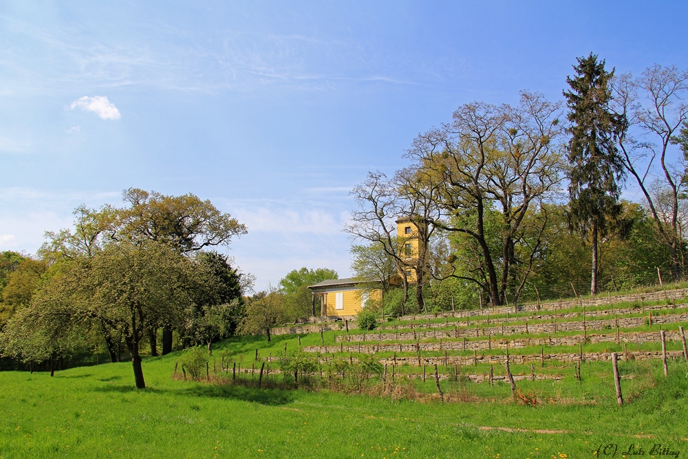 Das Weinbergshaus im Kühnauer Park