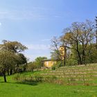 Das Weinbergshaus im Kühnauer Park