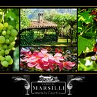 Das Weingut der Familie Marsilli in Brentino Belluno, in Italien