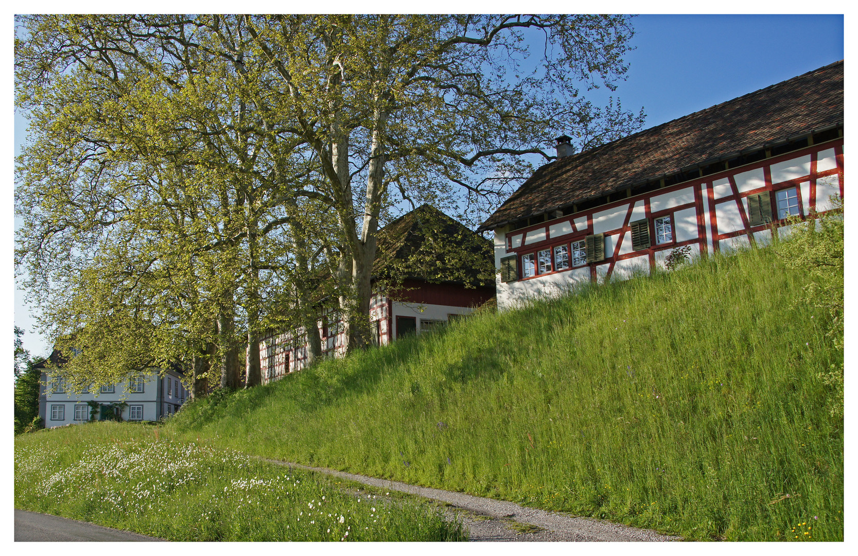 Das Weingut Kesselring III