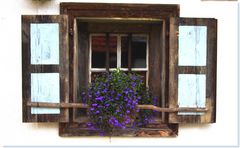 Das Weiss-Blaue Blumenfenster