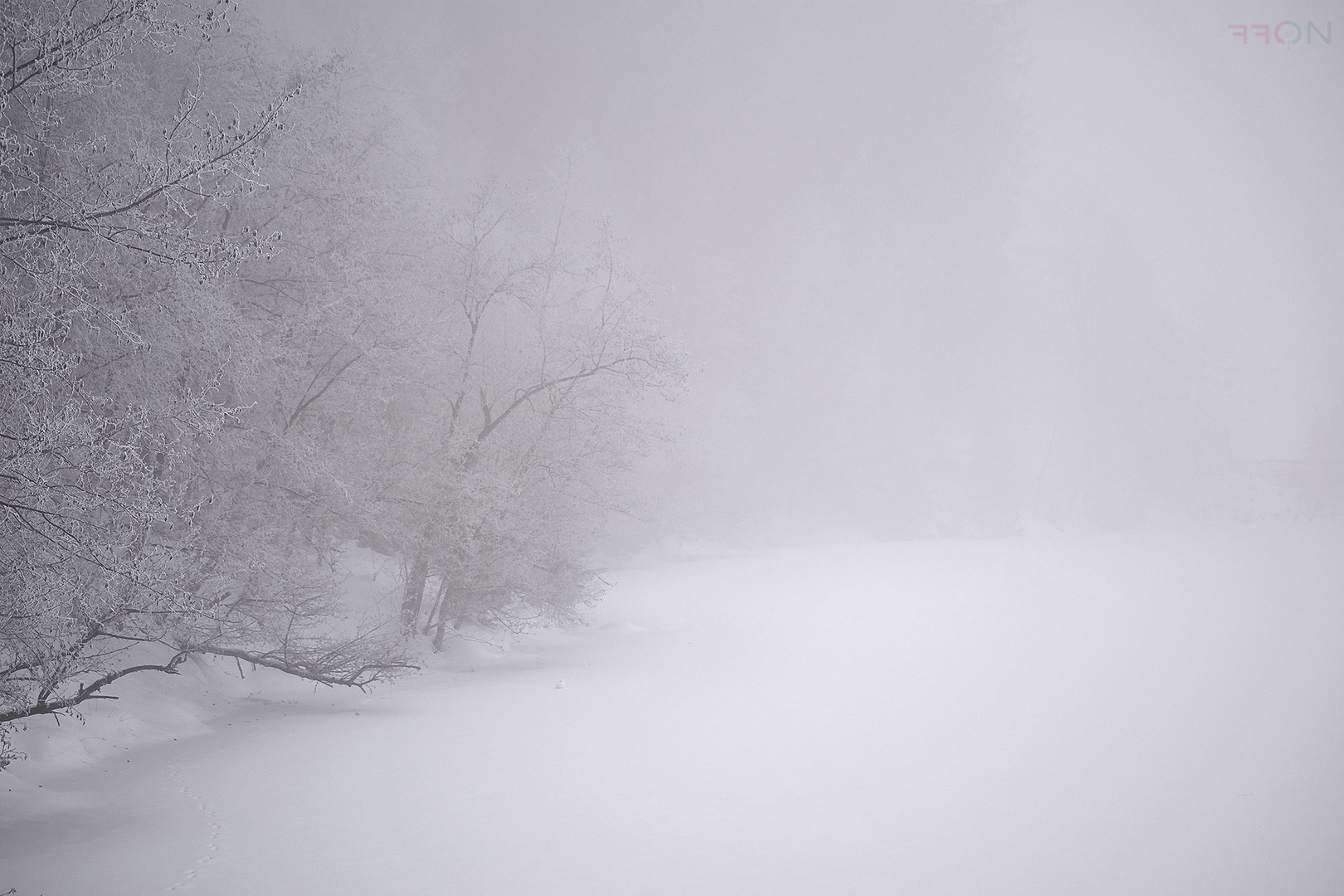 Das Weiss des Winters