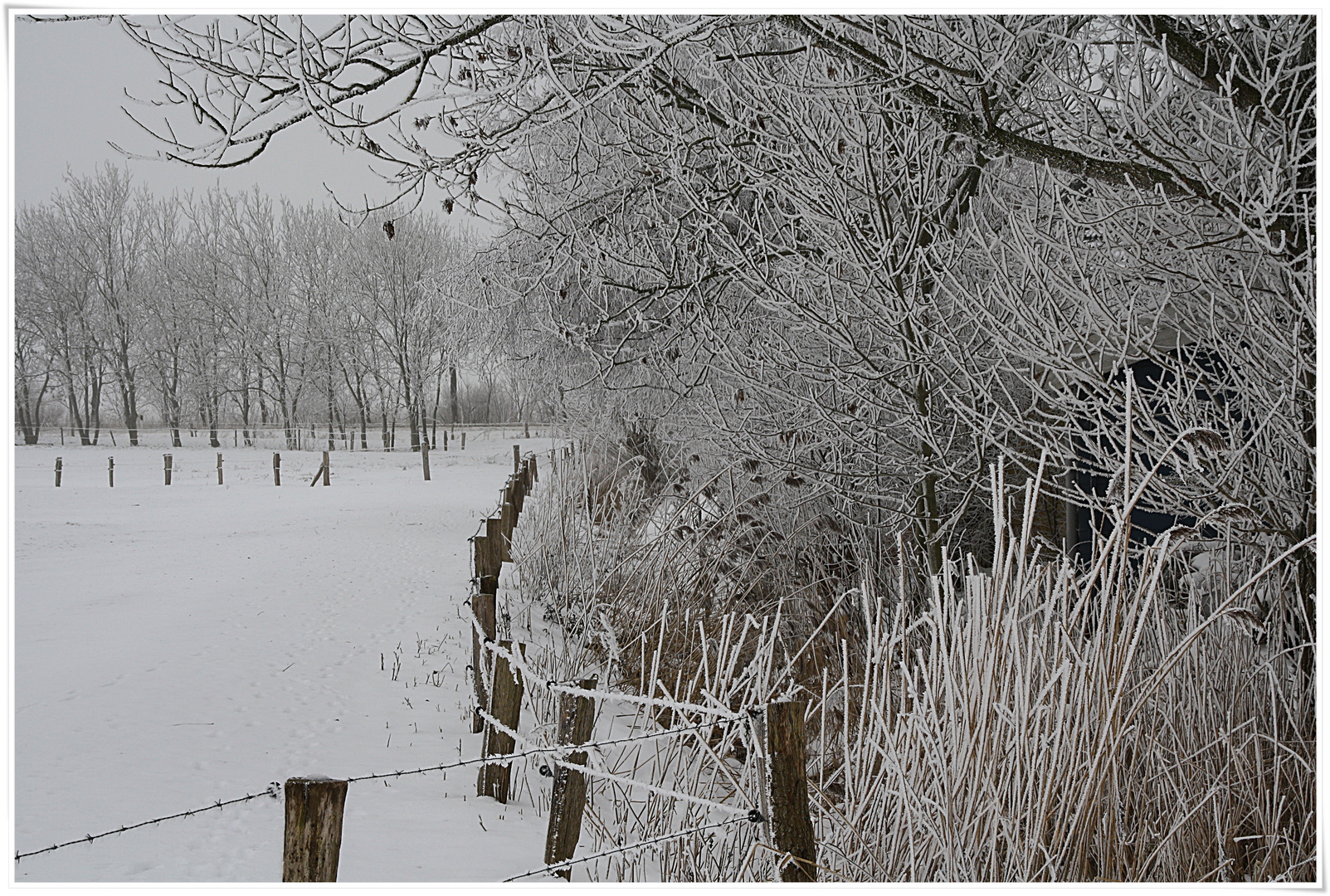 Das Weiße, das ist Schnee!