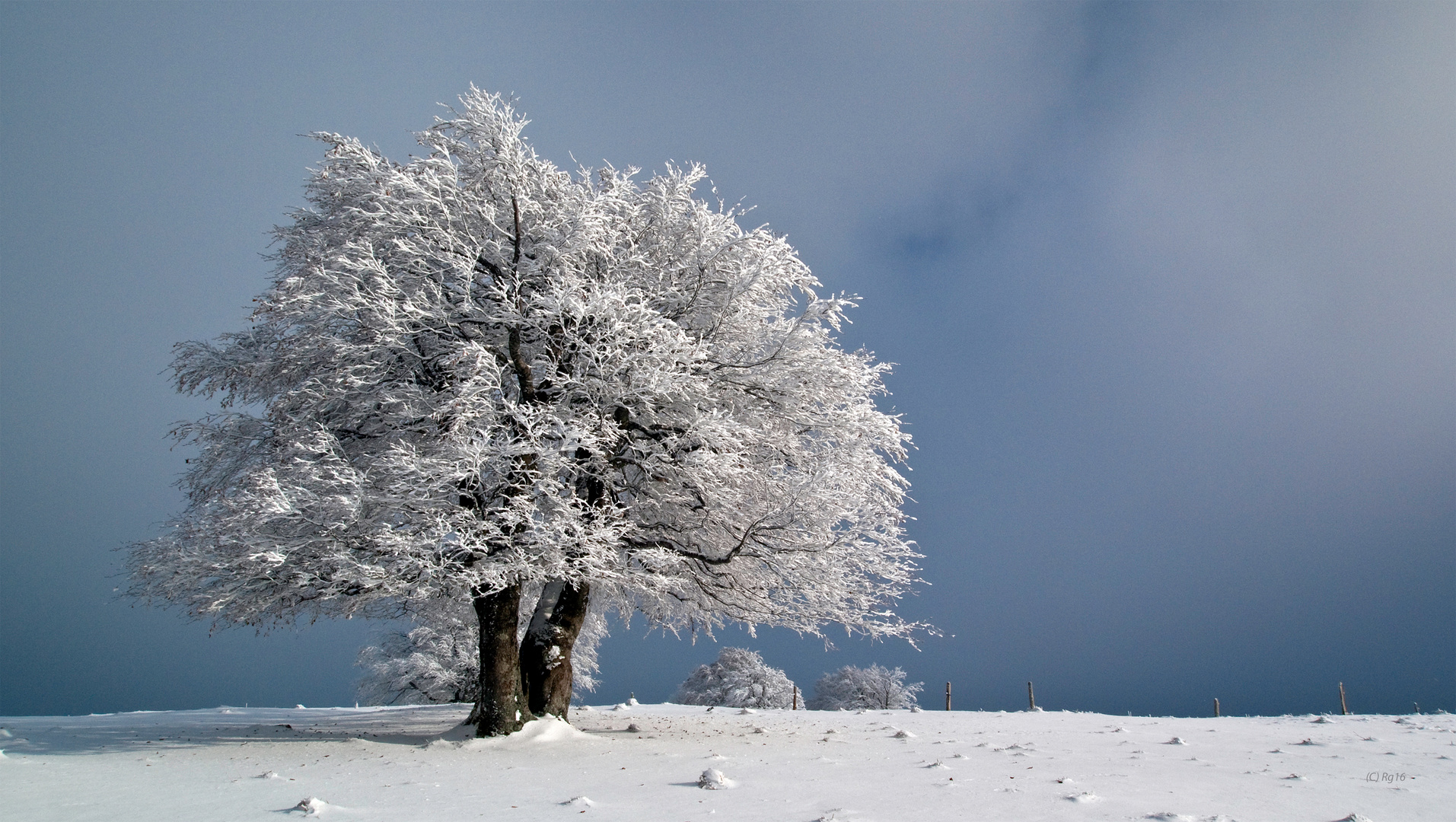 das weisse gewand der unschuld