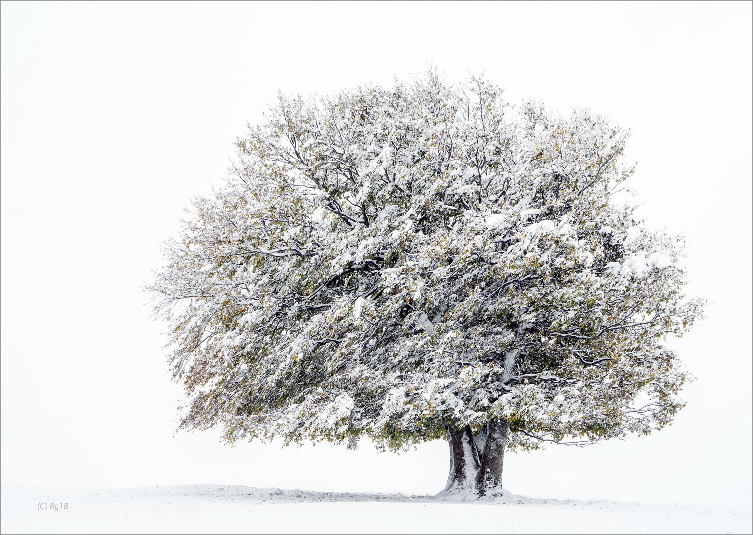 das weisse gewand des winters