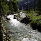 Das weiße Gold in unseren Bergen (Schnee&Wasser)