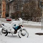 Das weiße Grauen in Berlin