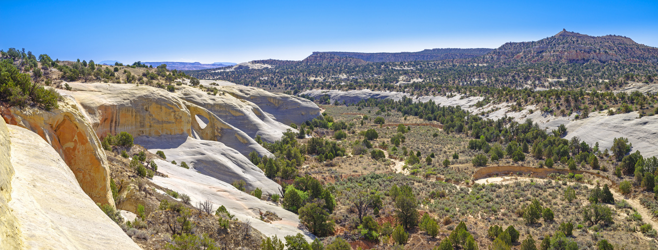 Das weisse Tal im Grand Staircase Escalante NM