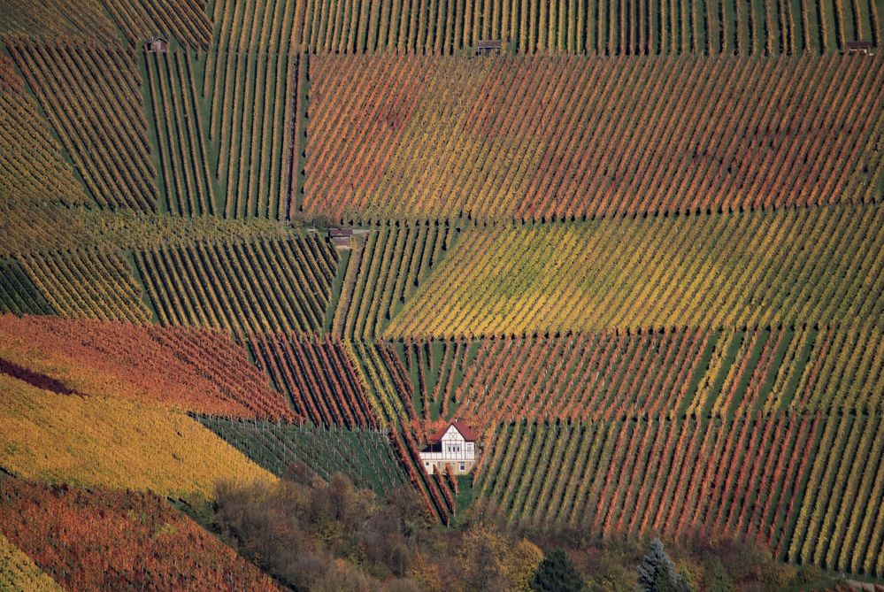 Das weiße Weinberghäusle