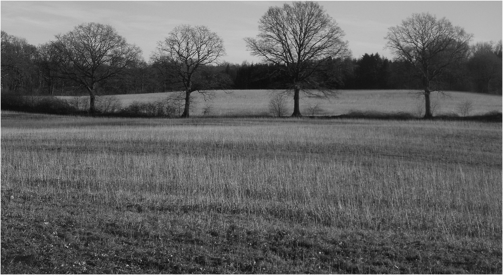 Das weite Feld der Fotografie