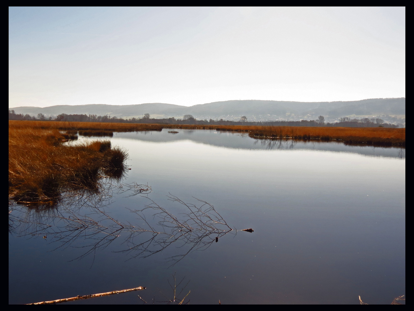 Das weite Moor