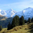 Das weltberühmte Dreigestirn der Berner Alpen