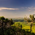 Das weltberühmte Toskanisches Abendlicht