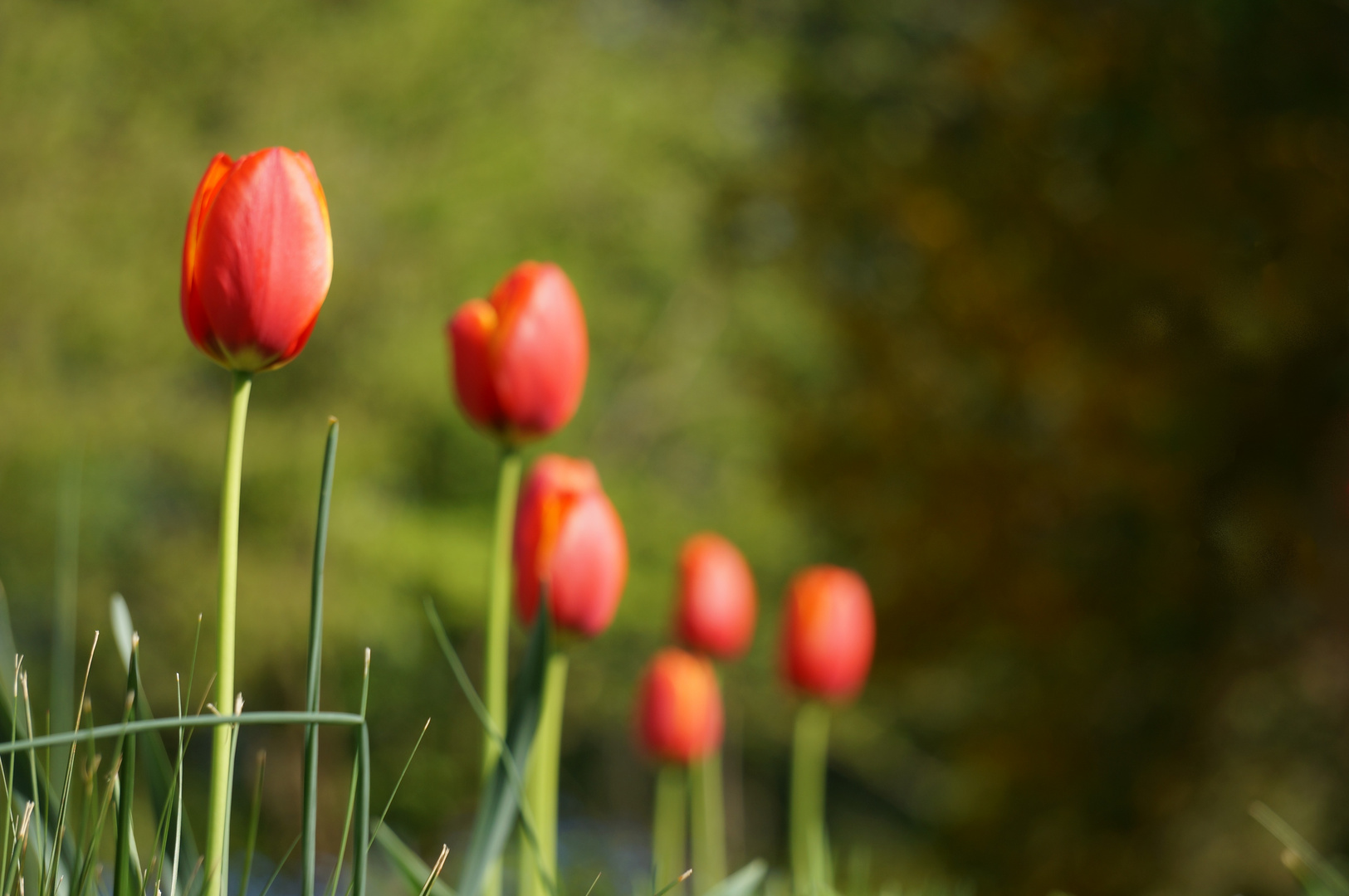 Das Wesentliche - Form und Farbe 