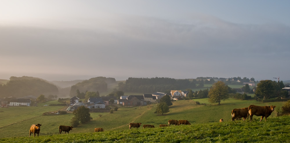 Das westliche Ösling