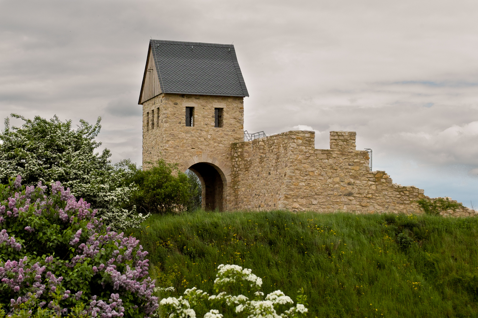 Das Westtor der Werlaburg