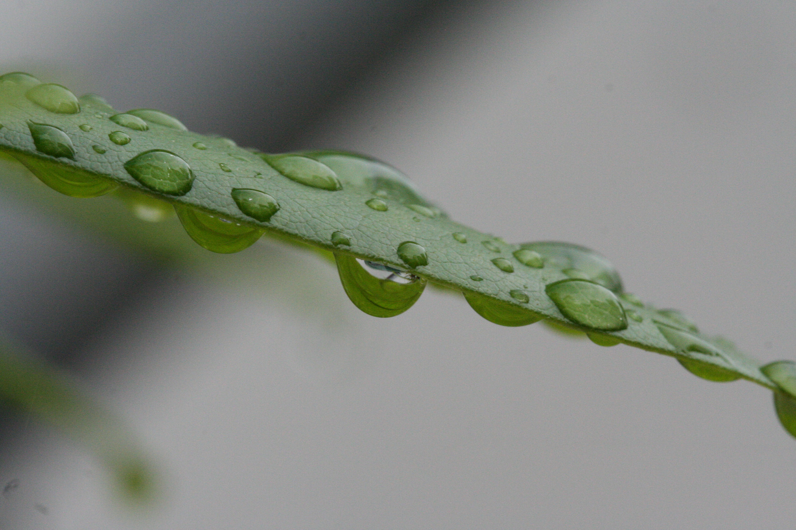 Das Wetter am Niederrhein