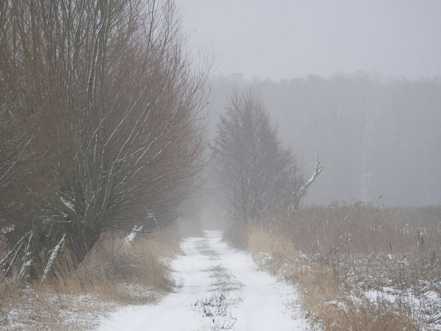 das Wetter am Wochenende ...