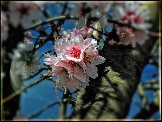 DAS WETTER DER LETZTEN TAGE...