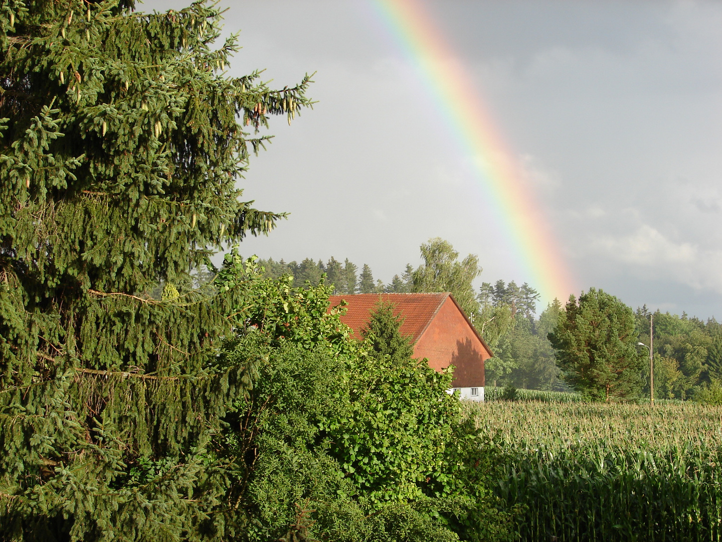 das Wetter findet draussen statt