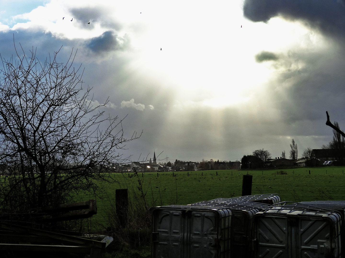 Das Wetter heute Morgen