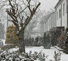 das Wetter in Berlin am 6. Januar 2016