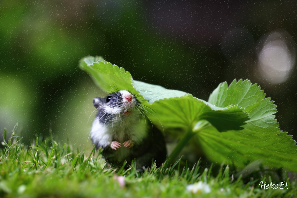 Das Wetter ist kaputt!