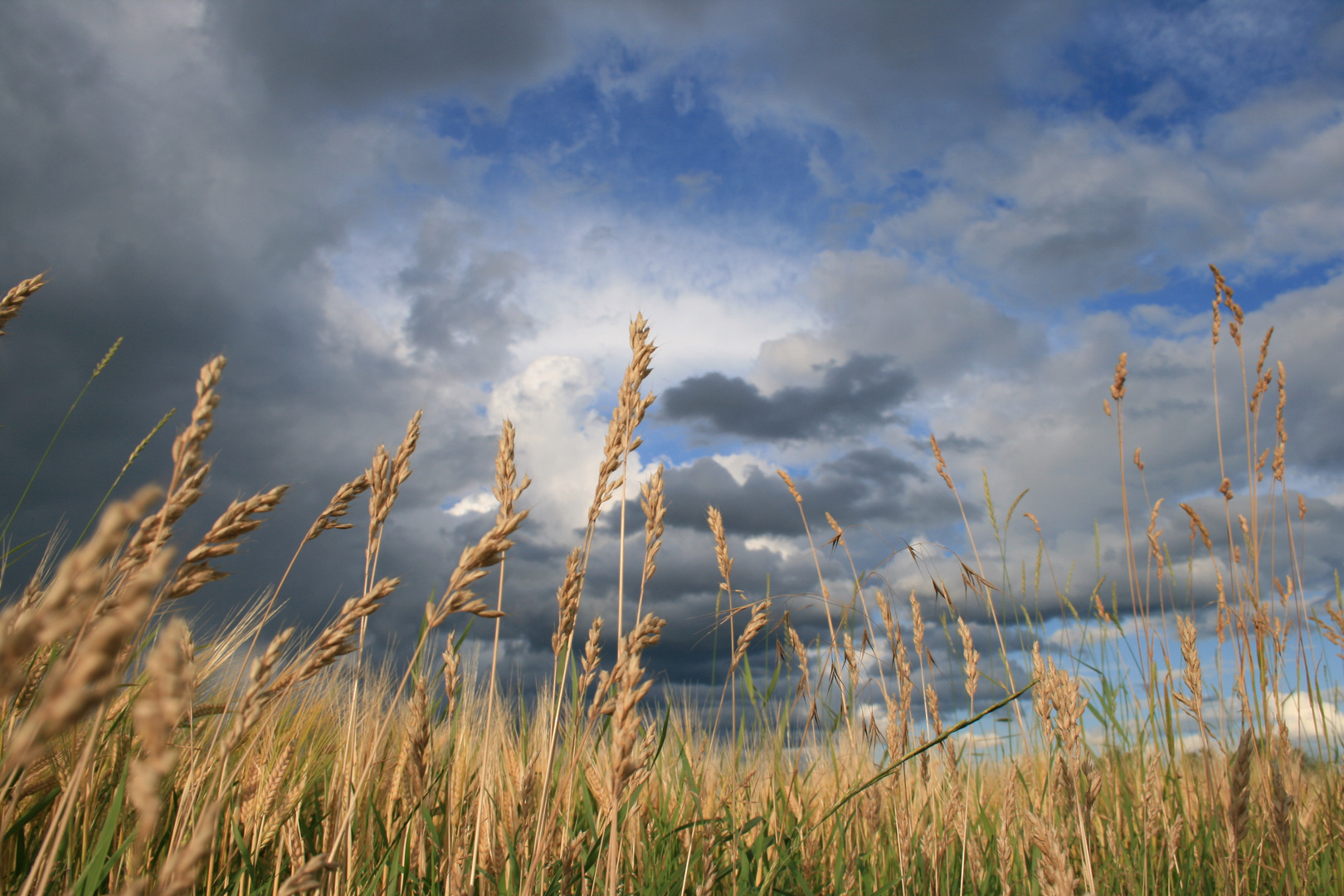 Das Wetter wird schlecht