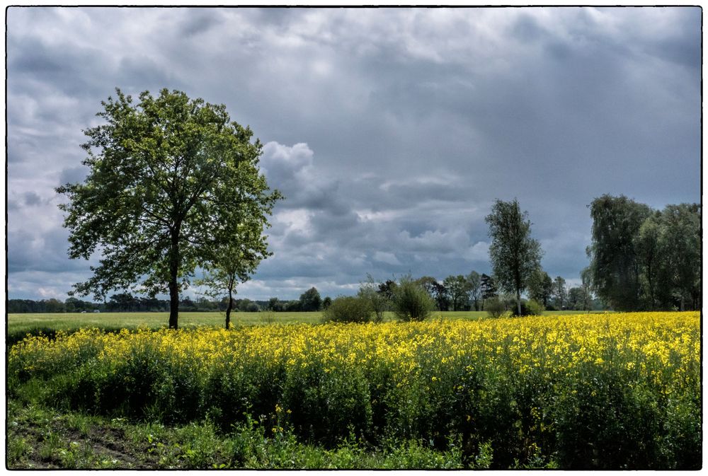 Das Wetter wird schlechter