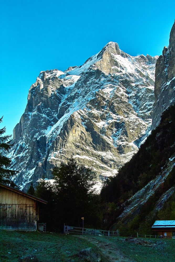 Das Wetterhorn (3701m)