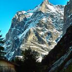 Das Wetterhorn (3701m)