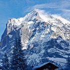 Das Wetterhorn