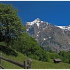 Das Wetterhorn bei Grindelwald