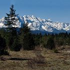 Das Wetterstein Gebirge mit Alp-und Zugspitze.