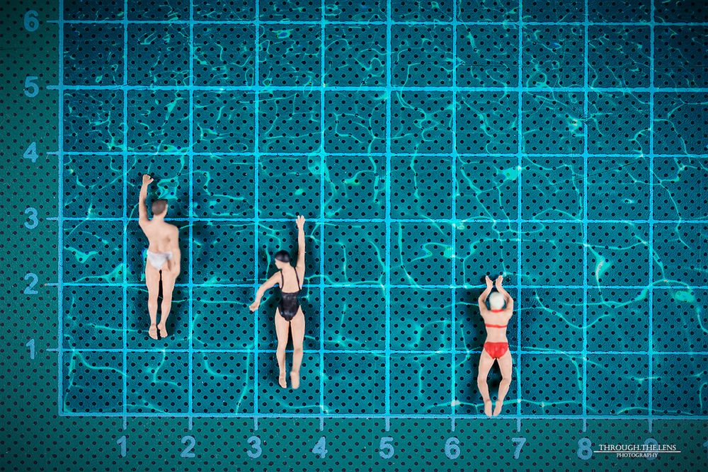 Das Wettschwimmen