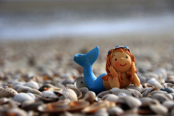 Das wichtigste im Leben findest du wie eine Muschel am Strand:....