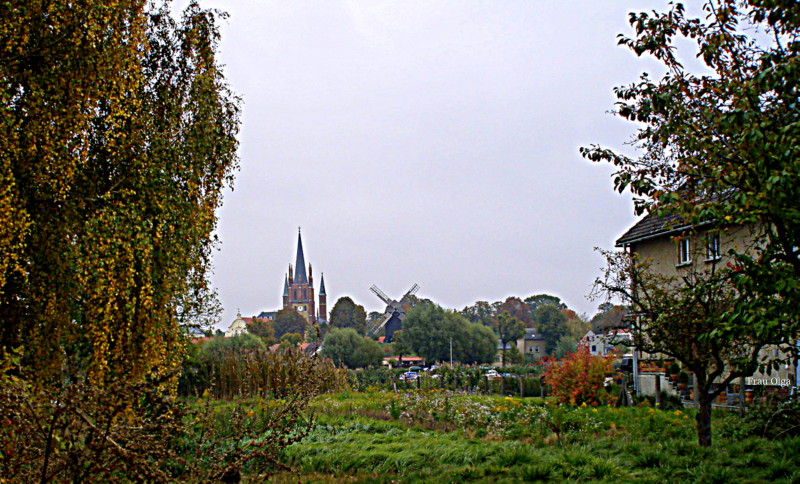 Das Wiesenbild mit der Silhouette der Inselstadt Werder