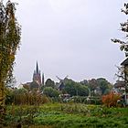 Das Wiesenbild mit der Silhouette der Inselstadt Werder