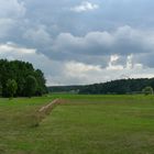 Das Wiesenstadion